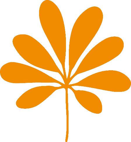 L1